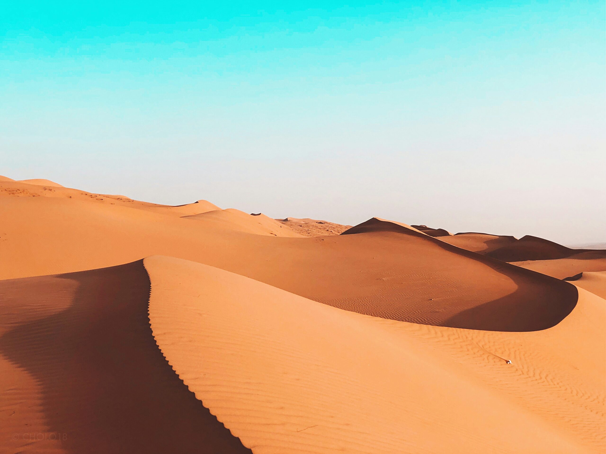 nasser-mu-9yVymS8uyYM-unsplash